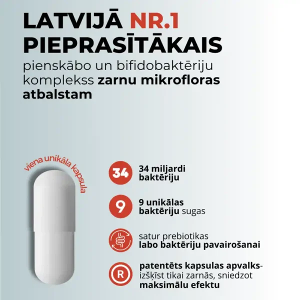 LYL BIOTIC Labo baktēriju komplekss ar prebiotikām, 6 kapsulas